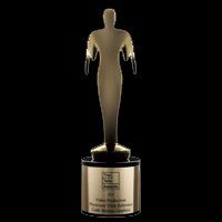 Gold Telly Award for videography