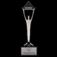 Silver Stevie Award for Corporate Social Responsibility