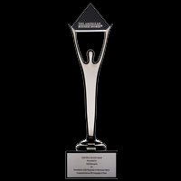 Silver Stevie Award for PR
