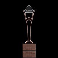 Stevie Award del 2019